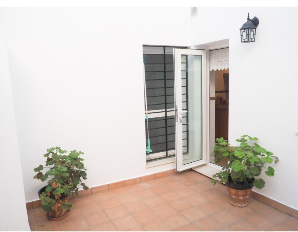 Conilplus Apartment Castilnovo 科尼尔-德拉弗龙特拉 外观 照片